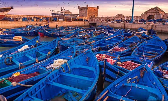 Essaouira Turu